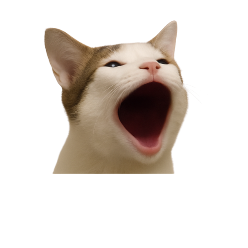 Pop Cat Close