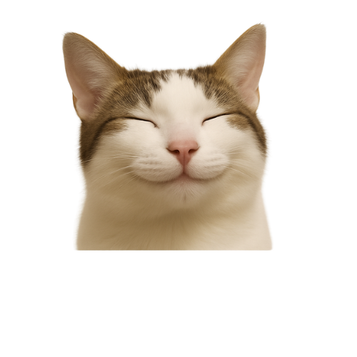 Pop Cat Open